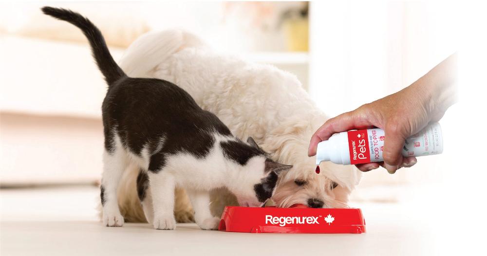 Pets love it!